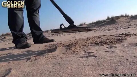 جهاز وحش الذهب 1000 للبيع: أفضل جهاز للبحث عن الذهب في الأراضي الوعرة